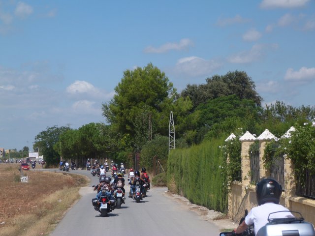 XVIII Concentracion - 2011